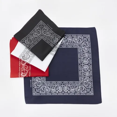 SB5300 - Printed Open Center Paisley Bandanas